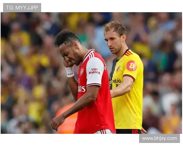 沃特福德足球俱乐部的历史沿革与未来发展潜力分析