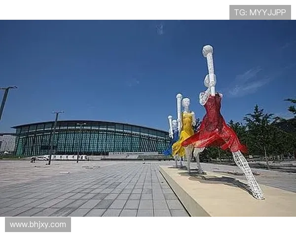 尼斯俱乐部的崛起与发展：探索其足球文化与历史变迁